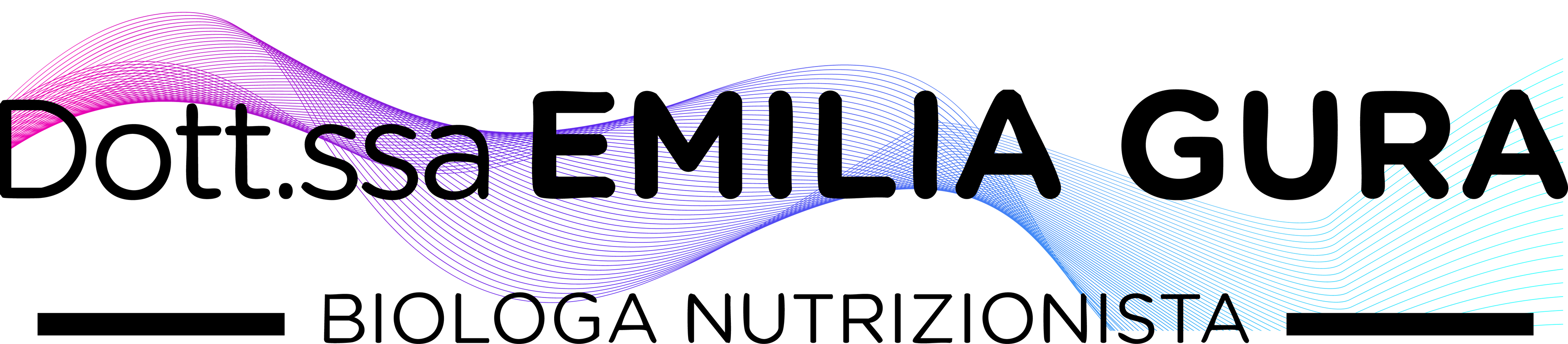emiliagura.com